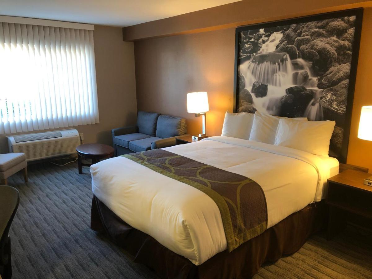 Super 8 By Wyndham Lynnwood Motel Екстериор снимка